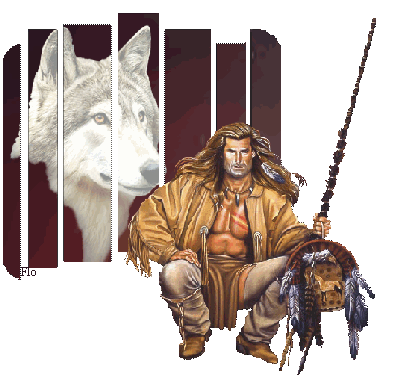 byron sully looool ( docteur quinn )